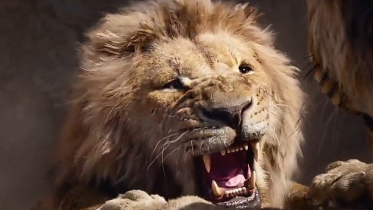 Protagonista de Mufasa revela novos detalhes sobre o prelúdio de O Rei Leão