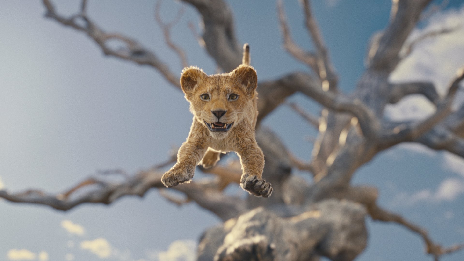 Imagem do filme Mufasa: o Rei Leão