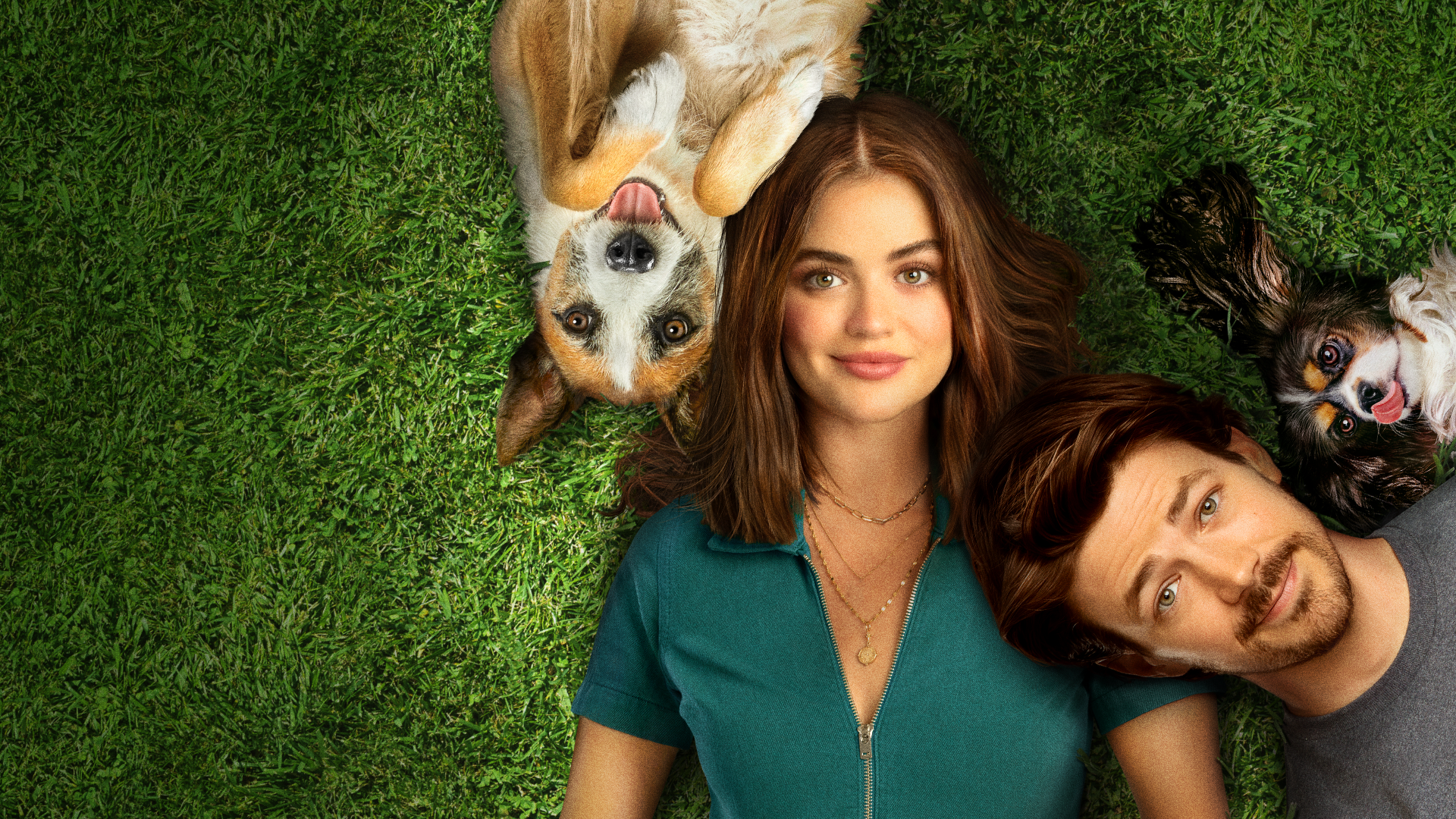 Puppy Love é um dos lançamentos da semana no Prime Video