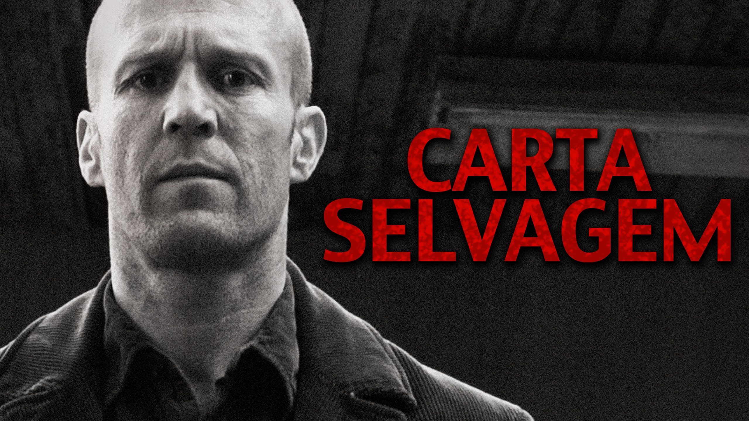 Carta Selvagem filme